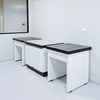 Lab Balance Bench Perforated